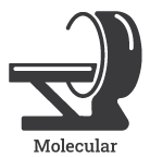 molecular-1