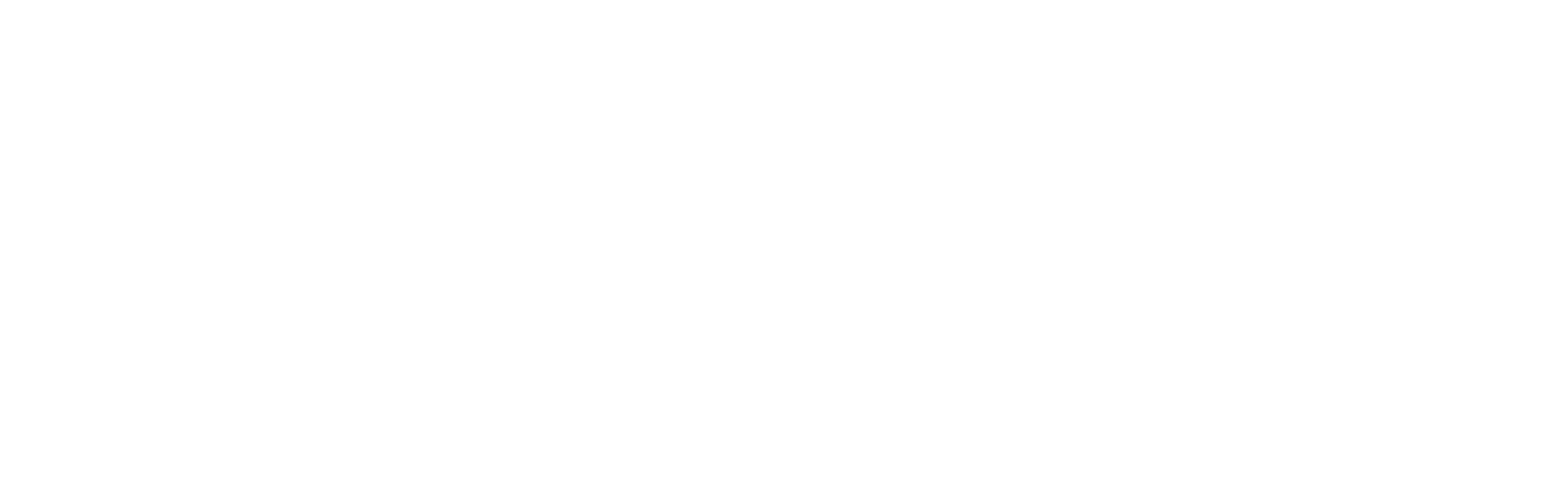 www.blockimaging.comhs-fshubfsBlock_GridGradient_Logo_White_Horz-1